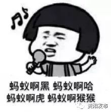 根治白蚁最简单有效的方法,治白蚁最好最快的方法