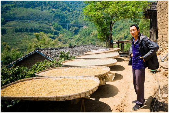 拼多多果园扶贫,拼多多农产品扶贫政策