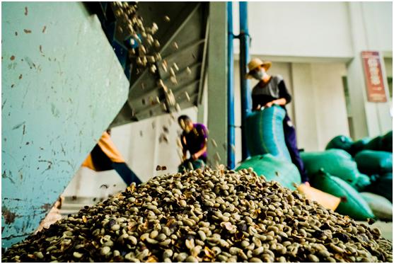 拼多多果园扶贫,拼多多农产品扶贫政策