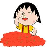 拿好这篇西安采摘樱桃指南,西安白鹿原樱桃采摘