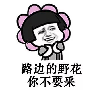 野外发现的桑葚能够直接吃吗,树上摘的桑葚能不能吃