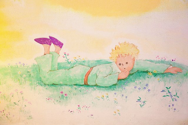 济州冬日的海，首尔春日的花，那些电影里的故事