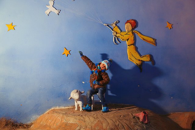 济州冬日的海，首尔春日的花，那些电影里的故事