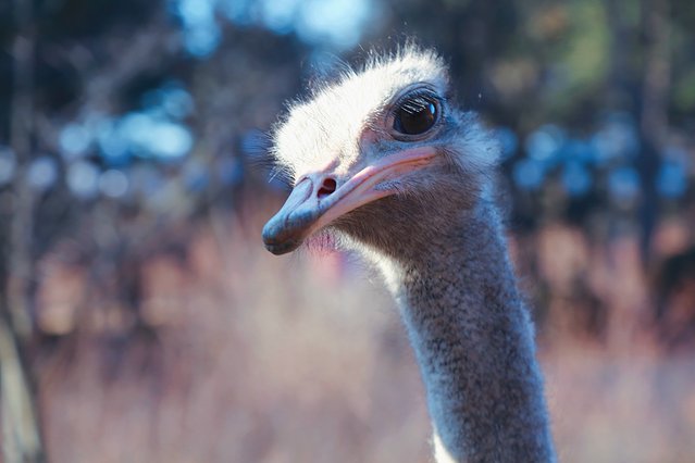 济州冬日的海，首尔春日的花，那些电影里的故事