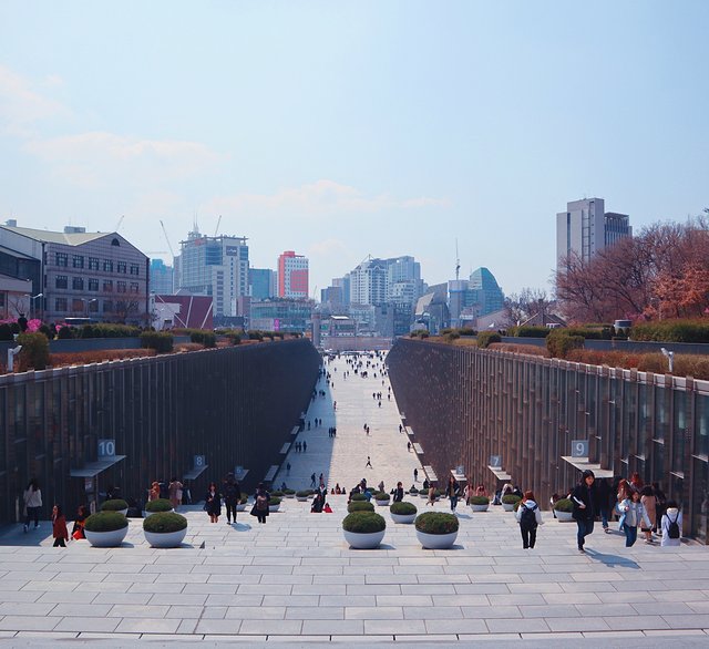 济州冬日的海，首尔春日的花，那些电影里的故事