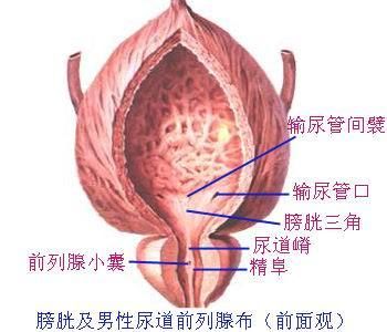千万别乱挤痘痘一不小心就进了icu,挤掉痘痘后留了个洞