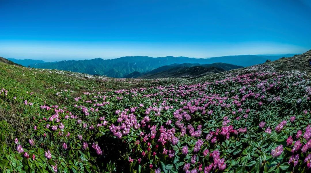 商洛文旅网络推介活动,商洛文旅排名