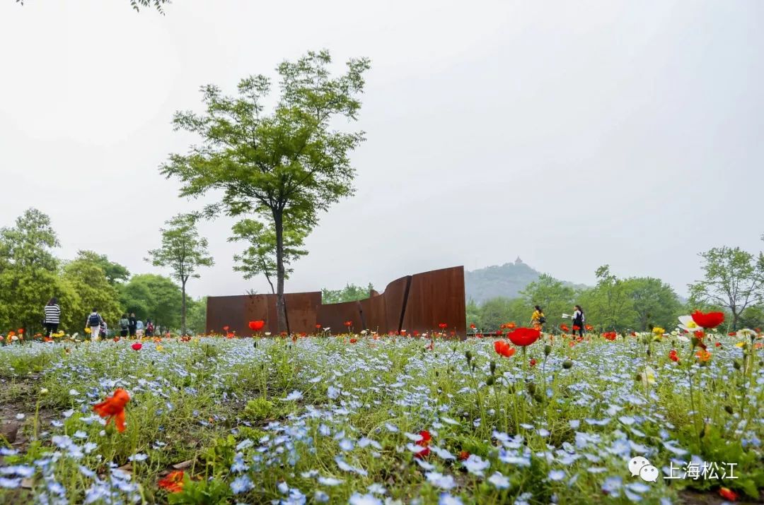 松江景点免费政策有哪些,松江免费旅游景点推荐