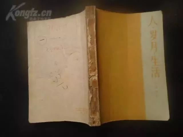 那些年，普通人看不到的内部参考“黄皮书”出版始末