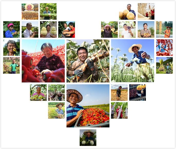 中国农民丰收节秋分节气同一天,二十四节气秋分也是农民丰收节