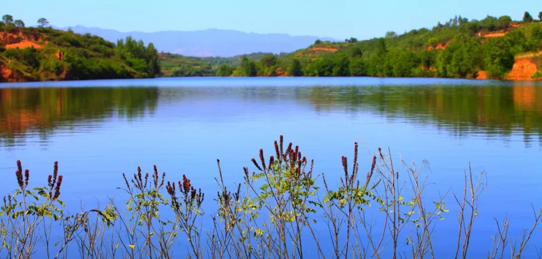 西安旅游景区直通车推出春节优惠,西安免费景点直通车