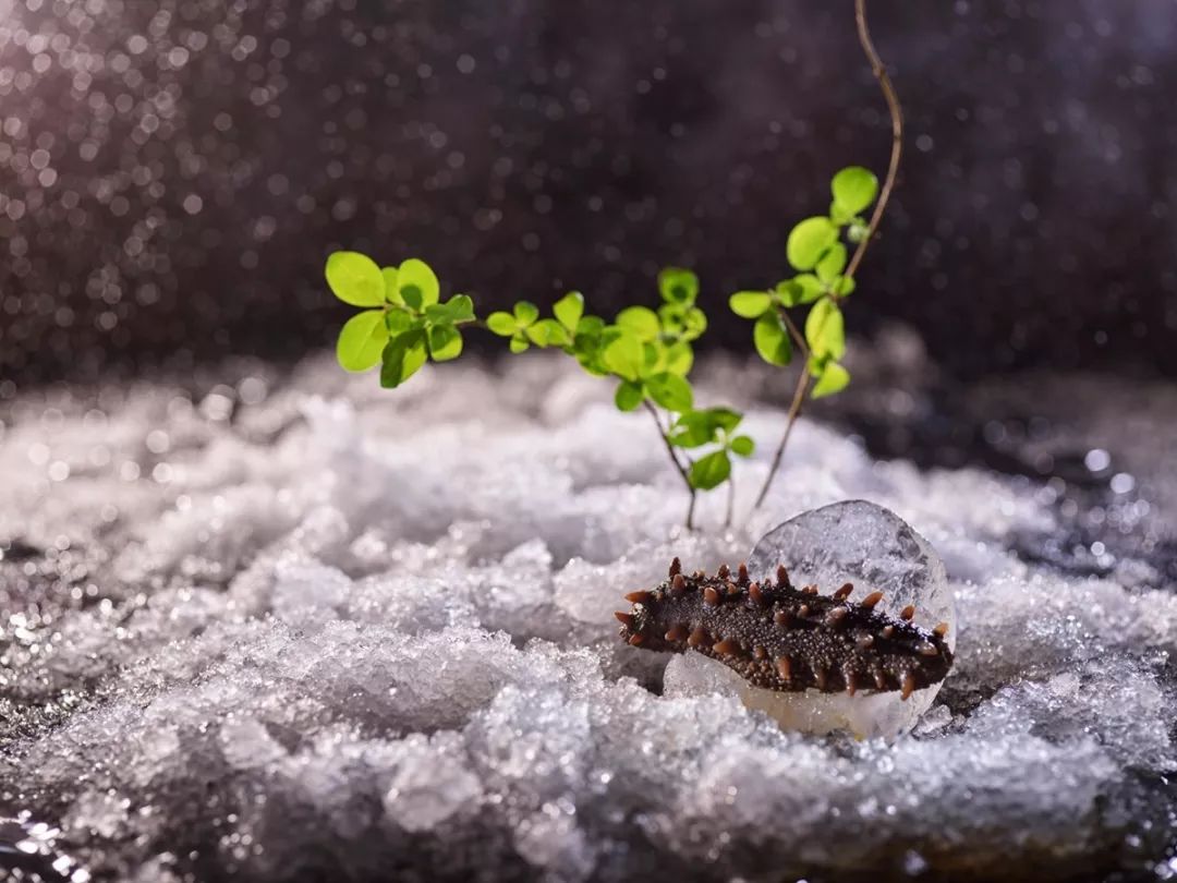 在重庆之巅，住云端奢居吃米其林大餐，刷新山城豪华新高度！