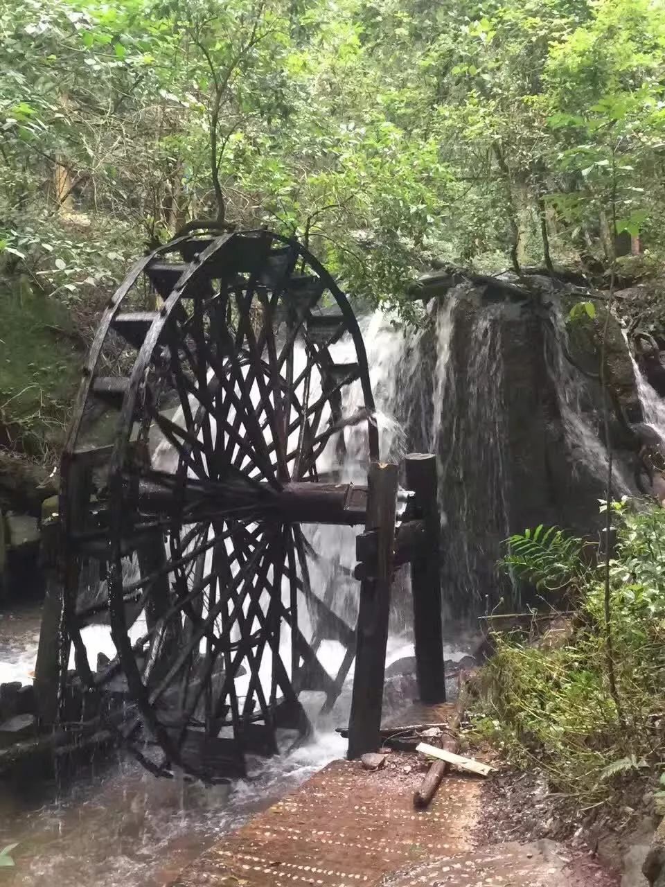 花为美，峡谷风光等你来，娱乐休闲尽开怀