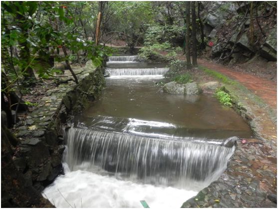 花为美，峡谷风光等你来，娱乐休闲尽开怀