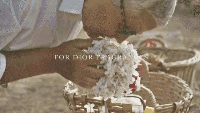 新手不踩坑男士香水,男士香水小白入坑