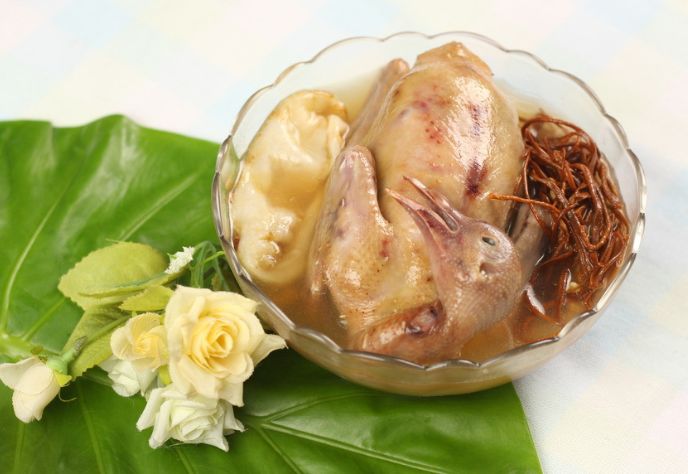 虫草花鸡汤补肾阳,肝肾阴虚能够吃虫草花吗