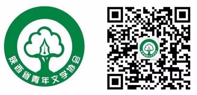 陈忠实创造白鹿原的文学自觉,访谈陈忠实