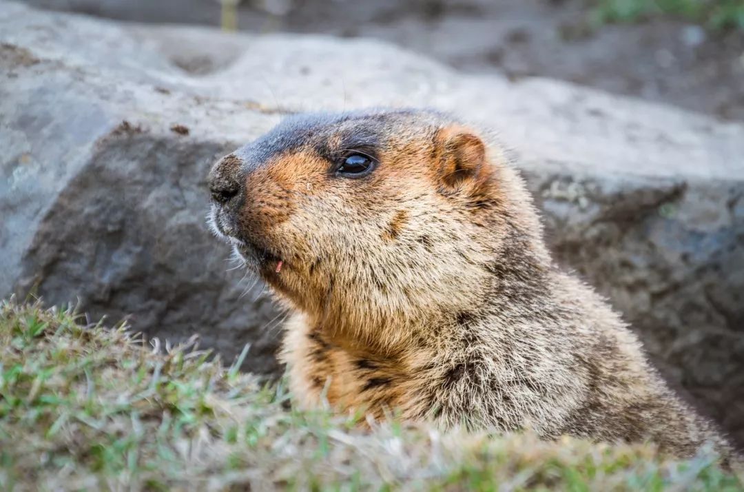 川西川西南,川西大环线合适几月去