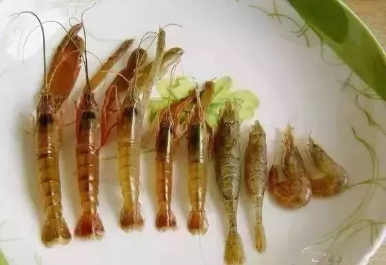 大连最新管控时间,大连最新重要通告