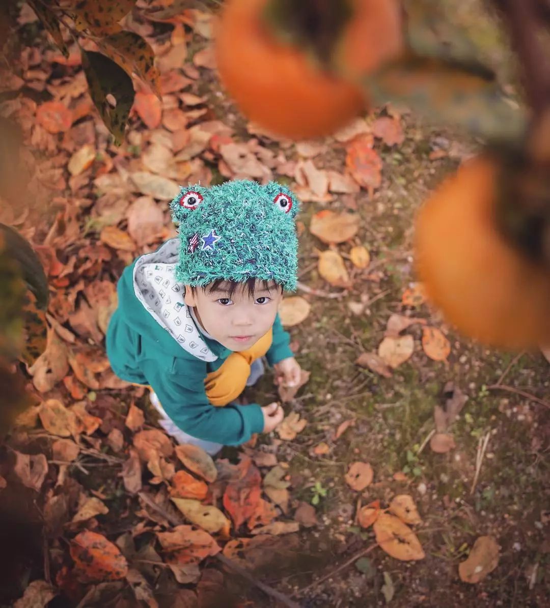 日本爸爸把男孩子拍出宫崎骏 (日本老爸把女儿拍到宫崎骏)