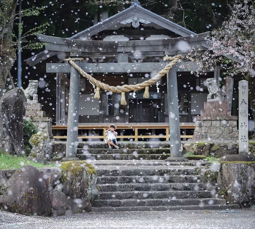 日本爸爸把男孩子拍出宫崎骏 (日本老爸把女儿拍到宫崎骏)