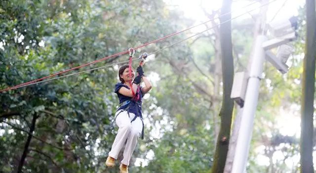柳州赏花一日游最佳去处,赏花一日游最佳去处柳州