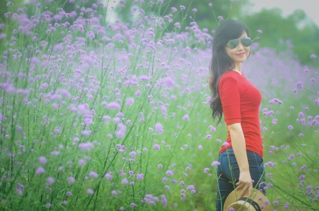 柳州赏花一日游最佳去处,赏花一日游最佳去处柳州