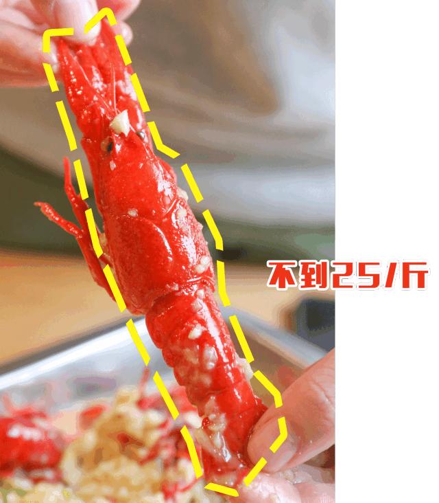 中国最便宜的龙虾店,99元4斤龙虾
