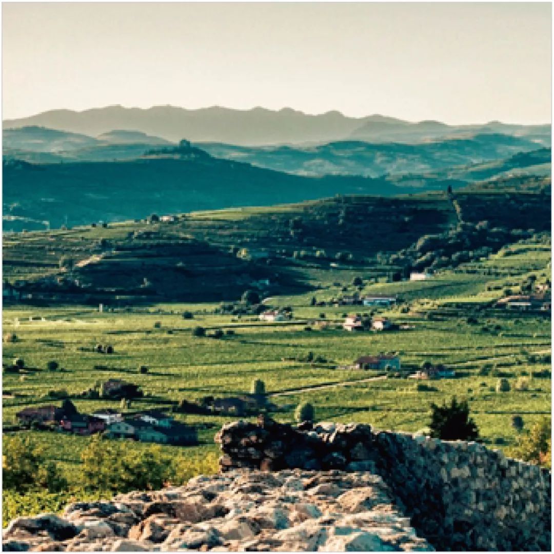 百褶裙搭配老爹凉鞋,秋冬新款时尚拼接百褶裙