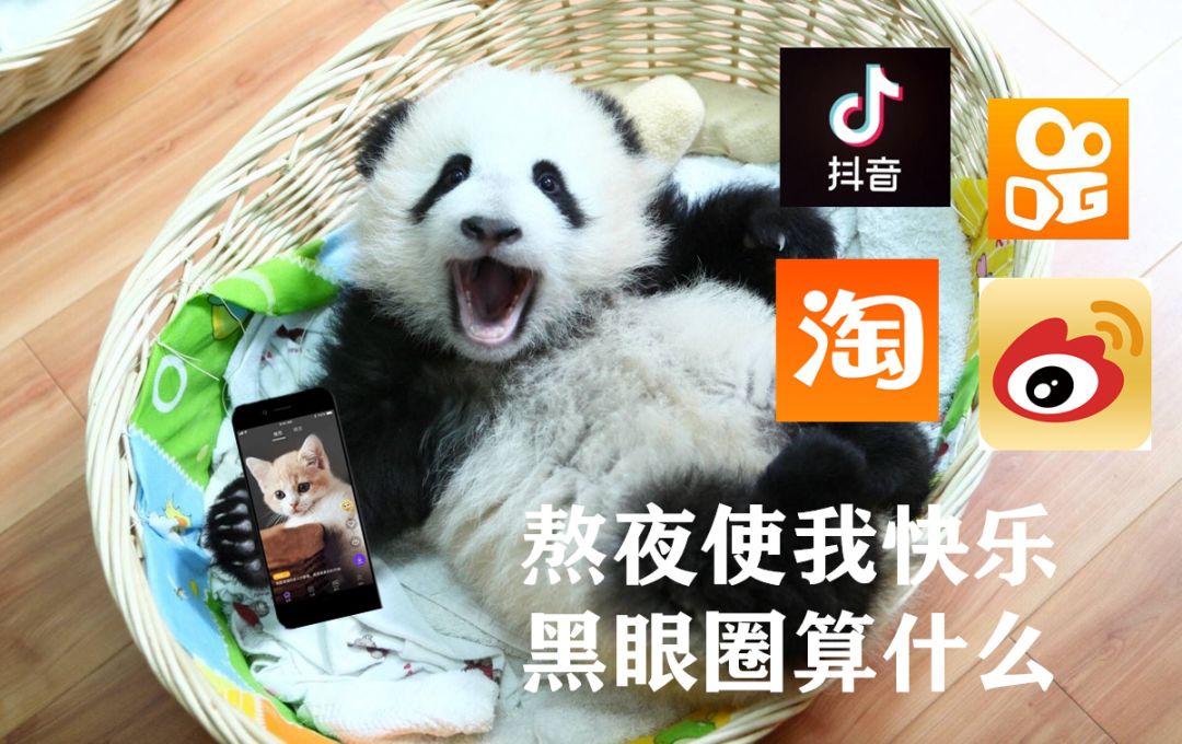 检察青年干警的重要性,检察机关青年干警