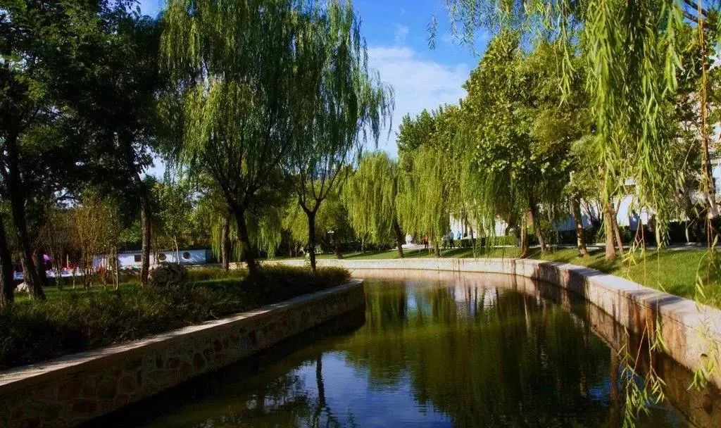 城事丨天津竟然有这么多免费公园可逛，趁假期最后一天赶紧去逛逛吧！