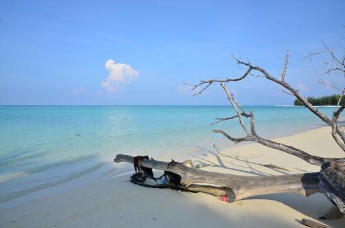亚庇回国攻略,亚庇能够怎么逛