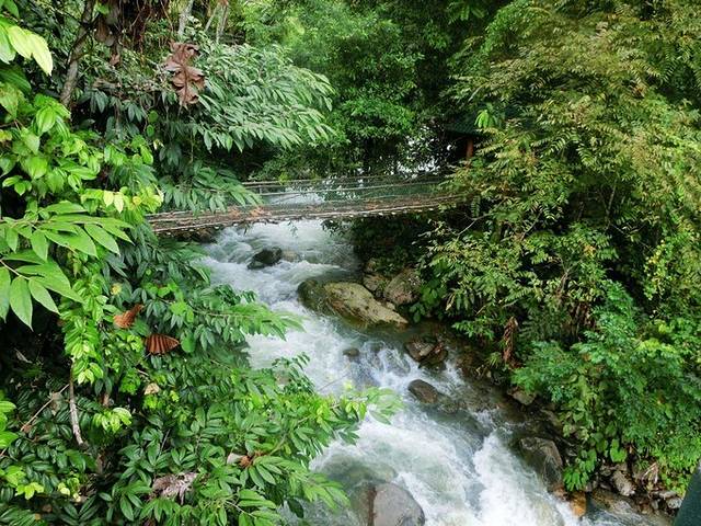 亚庇回国攻略,亚庇能够怎么逛