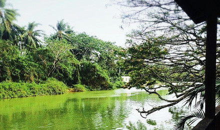 亚庇回国攻略,亚庇能够怎么逛