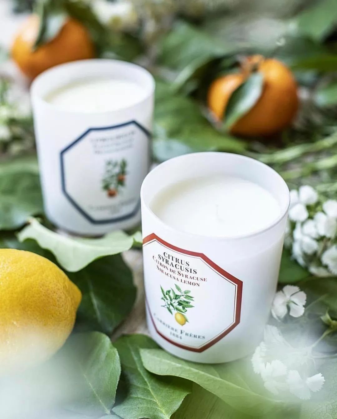 王子文戚薇,王子文和戚薇