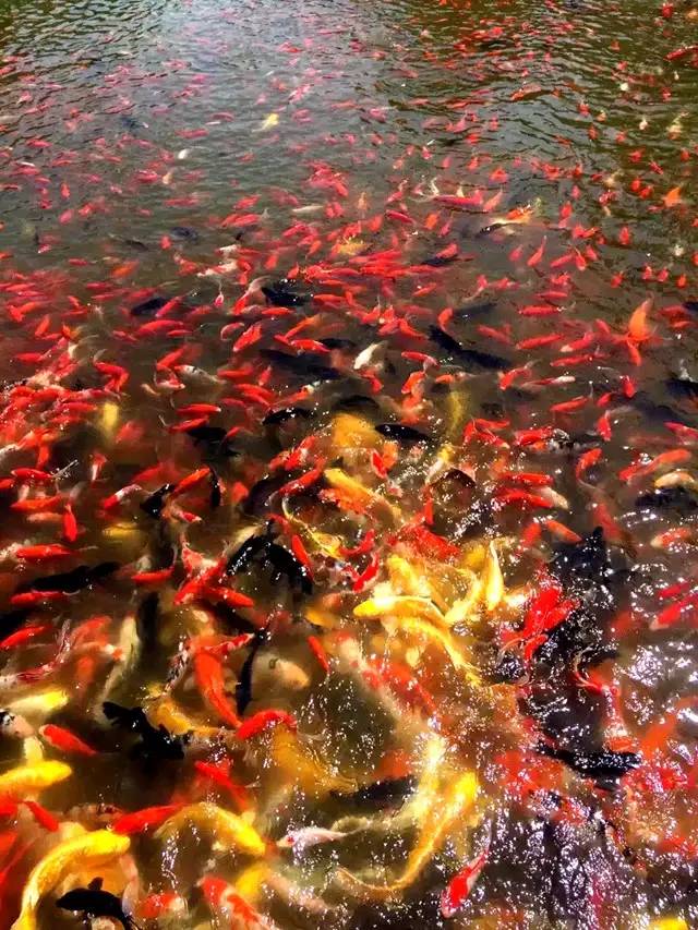 鲅鱼圈几月份合适旅行,鲅鱼圈下雨天合适去哪里玩