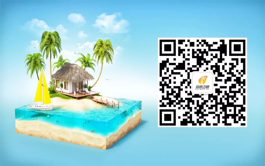 代购圈最新消息,海南海关总署