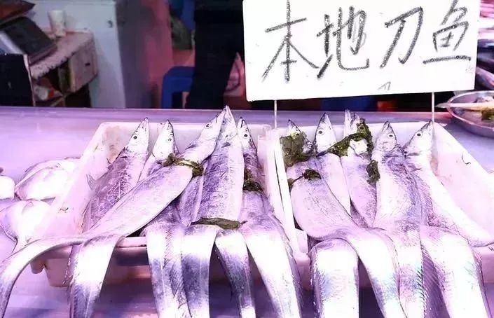 秦皇岛禁渔期还能够赶海吗,秦皇岛禁渔期在哪买海鲜