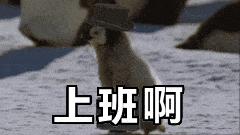 上海迪士尼免费玩的景点,上海旅游节半价景点迪士尼