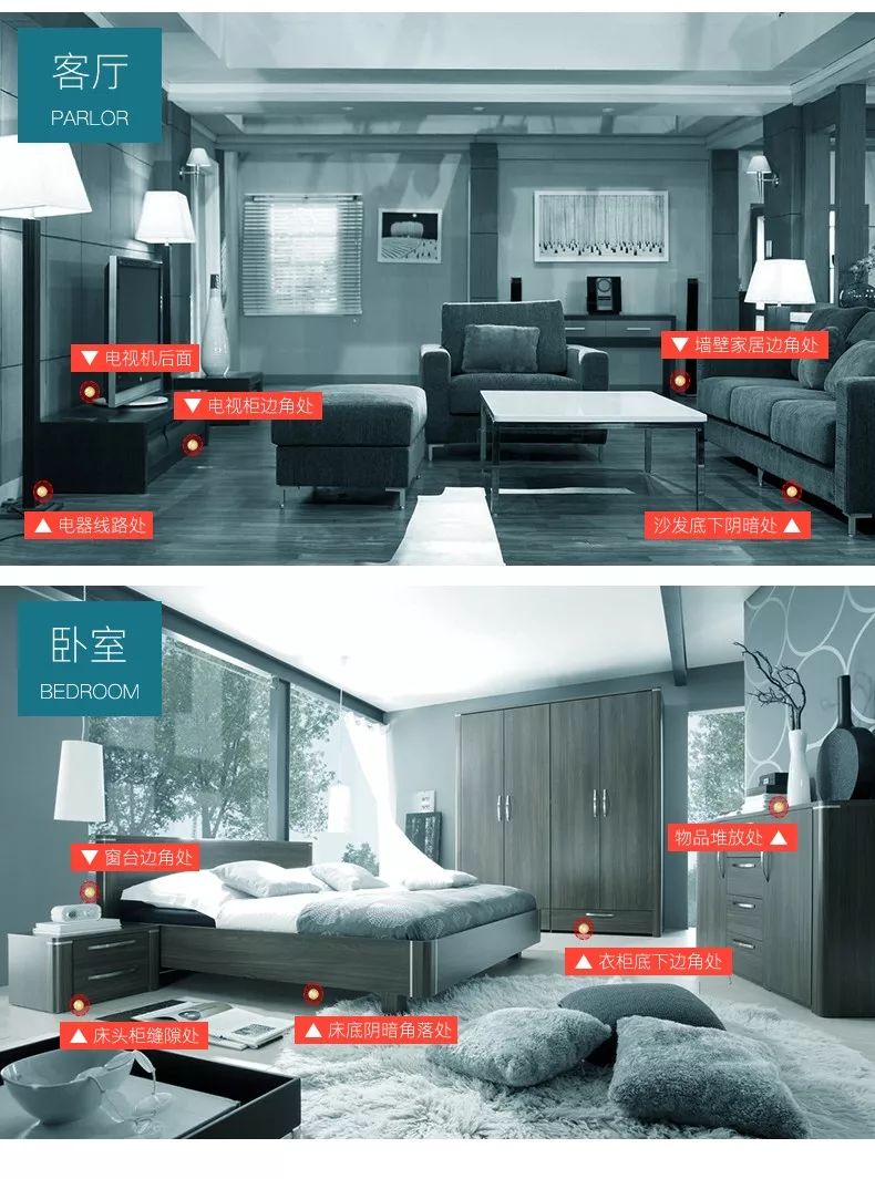 轻轻一贴蟑螂一窝端,广州蟑螂怎么消灭