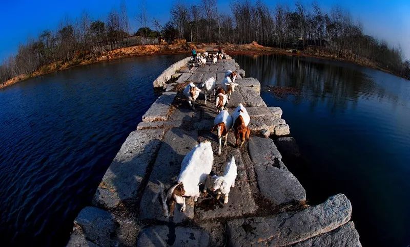 你为什么留在薛城？这是我听过的最好的理由！