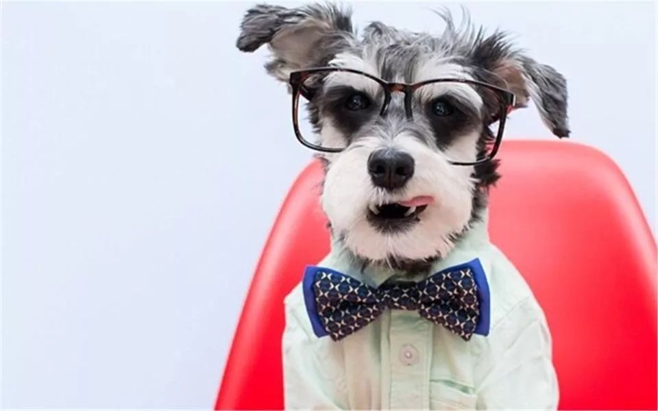 为什么有人把朋友圈设成三天可见,微信怎样把一个人设成三天可见