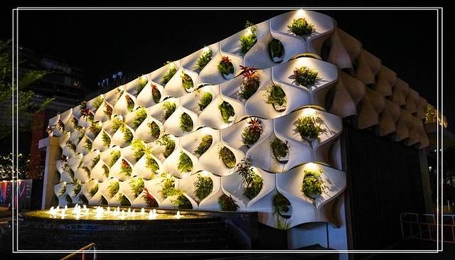 香港打卡网红地旅游攻略,打卡香港网红