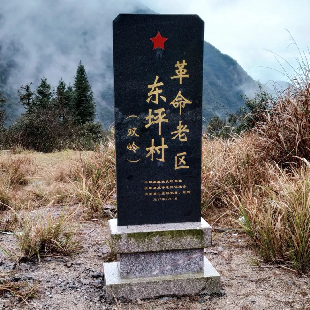 广西百色村民抗疫感动视频,为朴实英勇的村民点赞