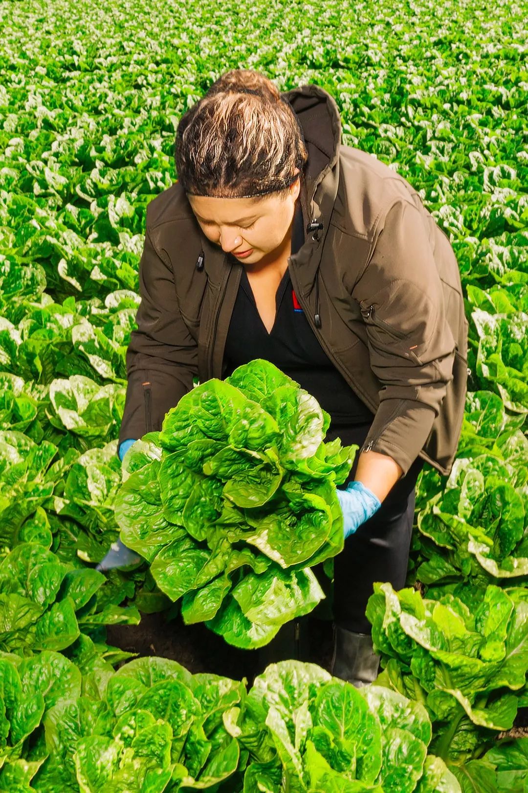 美国500强排名完全版,美国500强排名