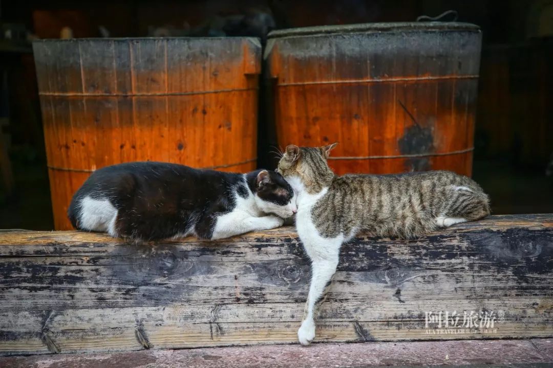 南塘小吃推荐,南塘特色小吃