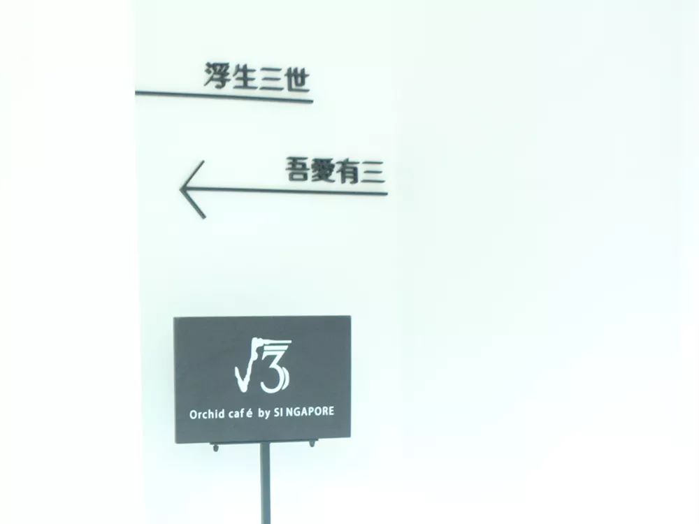 520鐗╄,520鐖辨儏鐗╄