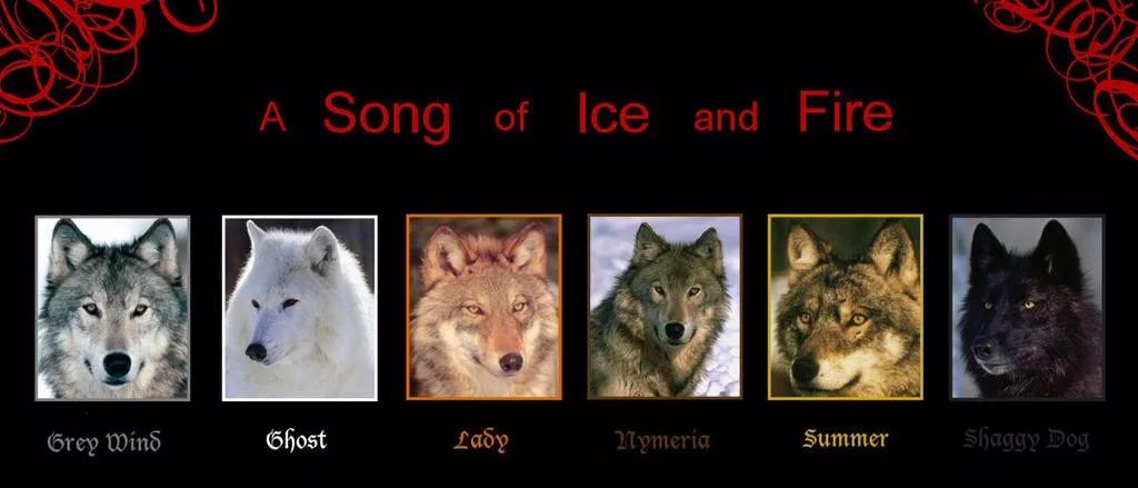 权力的游戏角色死亡时间,权力的游戏幕后的27个真相