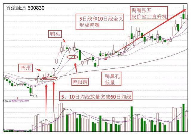 老鸭头战法最佳买卖点,老鸭头战法怎么选
