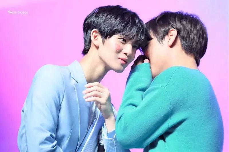 朴志训裴珍映粉玫瑰,裴珍映朴志训超帅图片